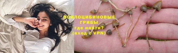 крисы Алексин