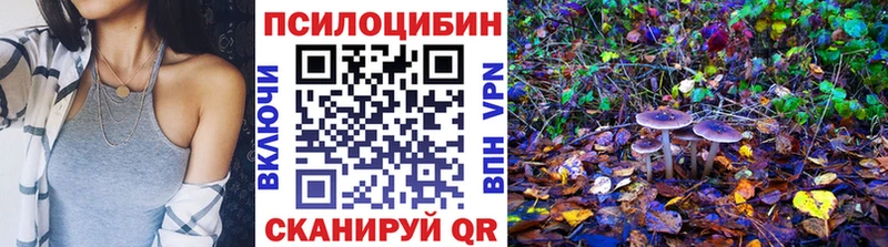 Псилоцибиновые грибы GOLDEN TEACHER  наркошоп  Нижний Ломов 